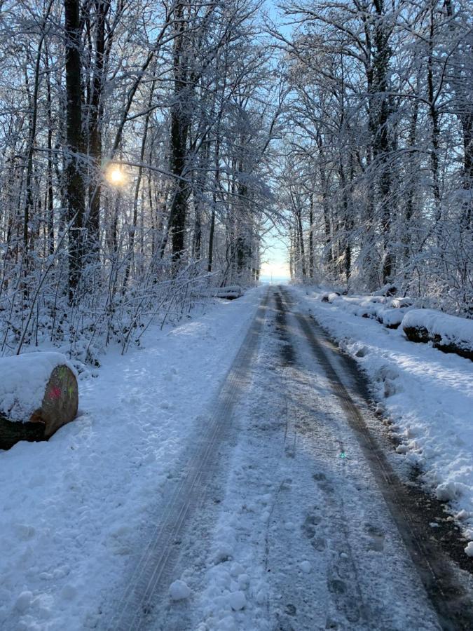 Séjour à la campagne Le Nid De Cigognes *