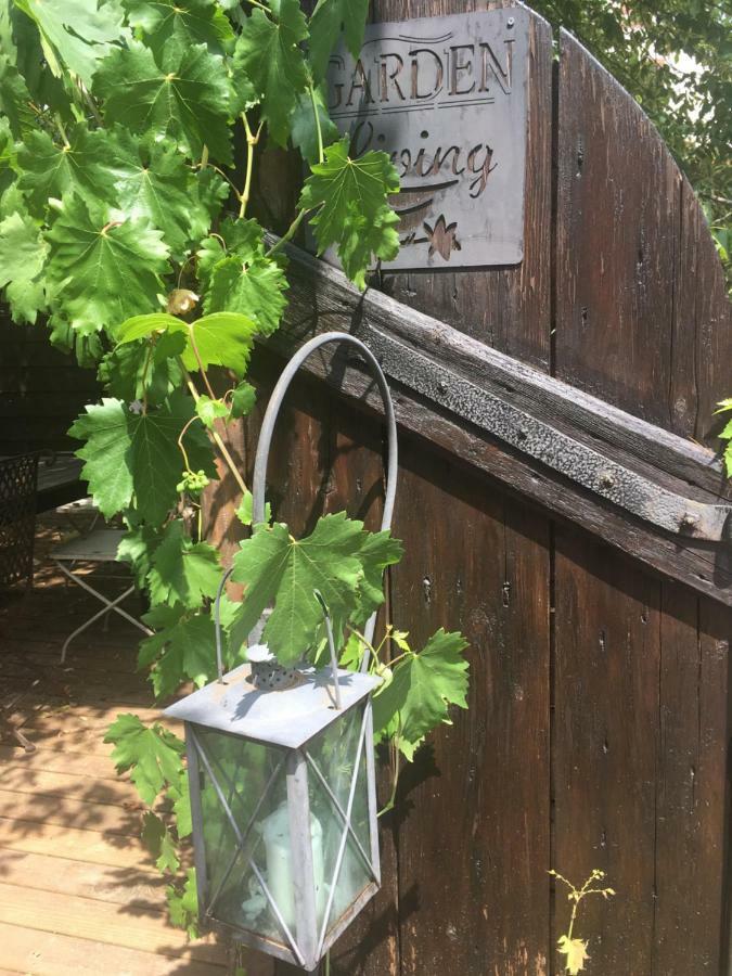 Le Nid De Cigognes Séjour à la campagne Menchhoffen